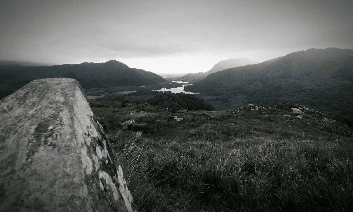 Иллюстрация: service