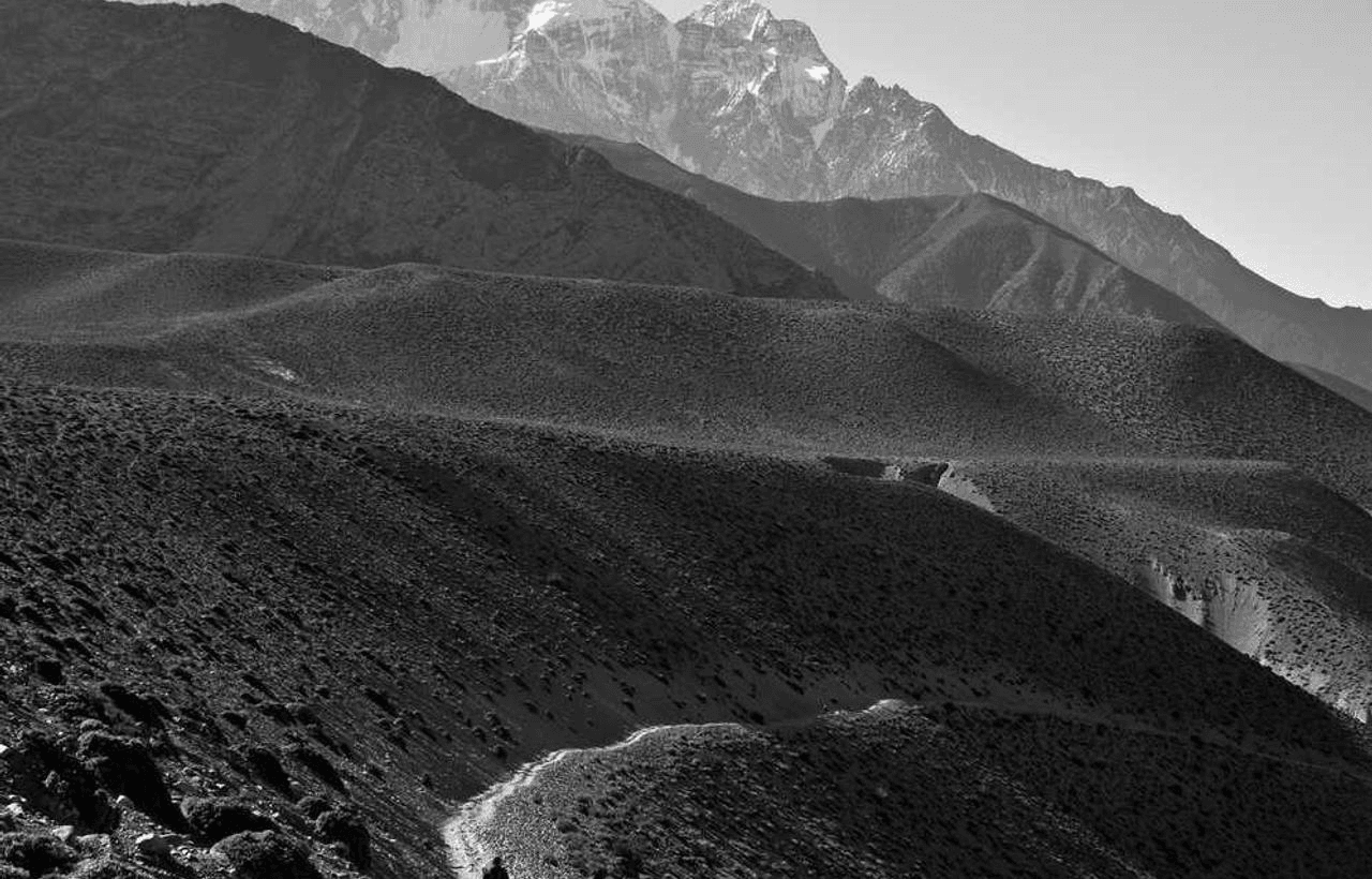 Иллюстрация: visual